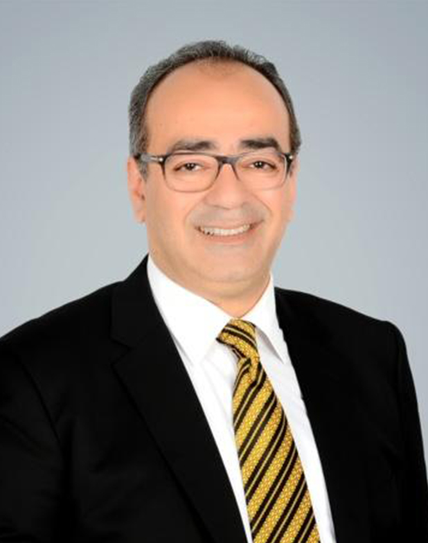 Prof. Adham Elsaied